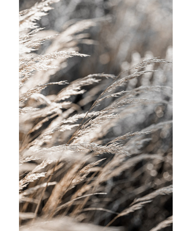 Wrapped Canvas Print, 76.2 cm H x 50.8 cm W