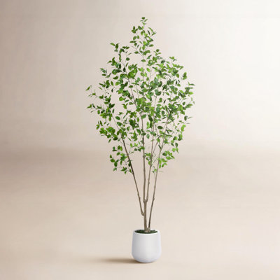 Aniston 84" Ficus Tree in Pot