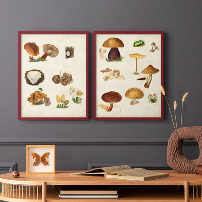 Reproduction encadrée de champignon I-Premium - prêt à être accroché - aucun clou requis - aucun clou requis