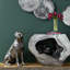 Labrador Statue