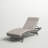 Outdoor Chaise Lounge Set , Cushion Included-680098032-680098039-680098040