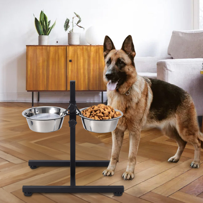 Anti-Skid Elevated Feeder