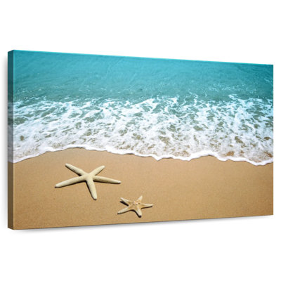 Gillard Starfish Coast