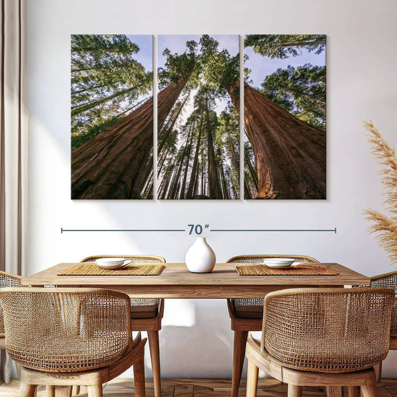 Sequoias From Below, 42" H x 65" W
