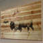 « bison troupeau walk », impression sur bois-20746544