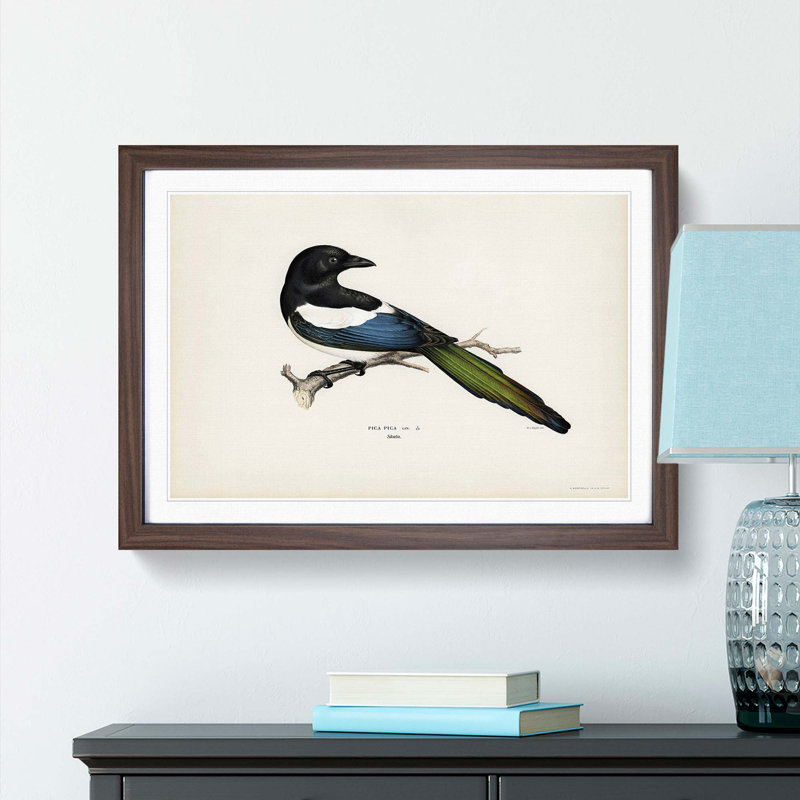 Eurasian Magpie by Von Wright - Picture Frame Painting Print, 36cm H x 48cm W x 2cm D, Walnut Framed