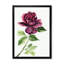 Rose rouge avec bourgeons - Art mural sur toile traditionnel-913990475-913990469