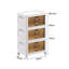17 Stories Plastic Storage Cabinet