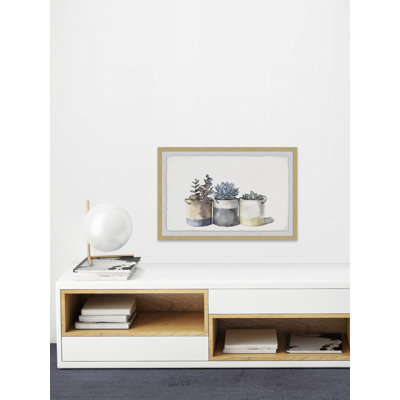 Alesia Granny's Cacti - reproduction de cadre photo sur papier