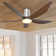 Leverne 58" Indoor Ceiling Fan with Remote Control