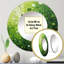 Dively Metal Round Mirror