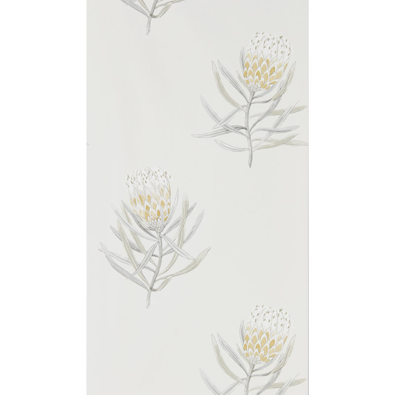 Protea Flower, White/yellow