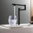 Casa Eclat Pull Down Kitchen Faucet-101913706