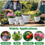 Pots à plantes avec trous de drainage et soucoupe, pots à fleurs en plastique pour plantes d'intérieur, pots à fleurs légers pour plantes-1157751823
