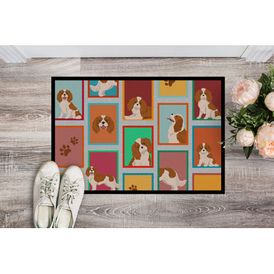 Nermal Non-Slip Doormat