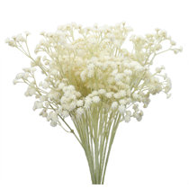 Fiveseasonstuff 10 Stems Babys Breath Artificial Flowers Babys Breath  Gypsophila 62cm Tall Long Stems vintage White 