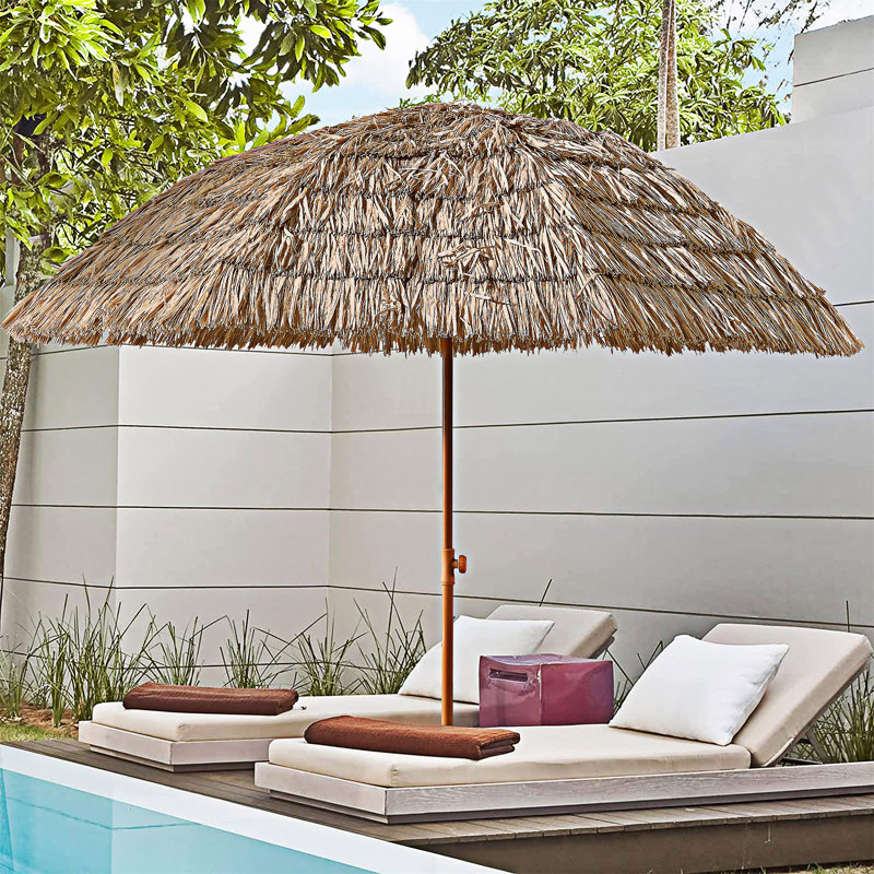 Parasol Thatch
