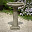 The Essential Birdbath-13918336