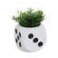 Pot à dés décoratif en céramique pour espaces intérieurs et extérieurs - Pots de fleurs créatifs pour patio, salon et décoration intérieure - 6 po, blanc et noir-1736527774