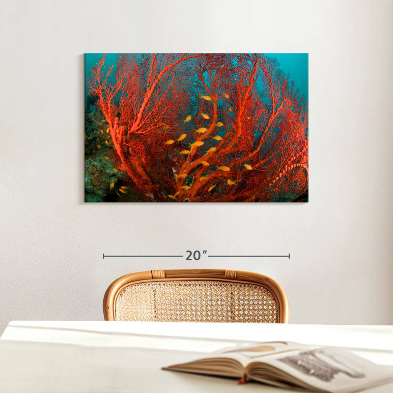 Fire Coral, 16" H x 24" W