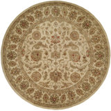 Wool Oriental Area Rug in Beige