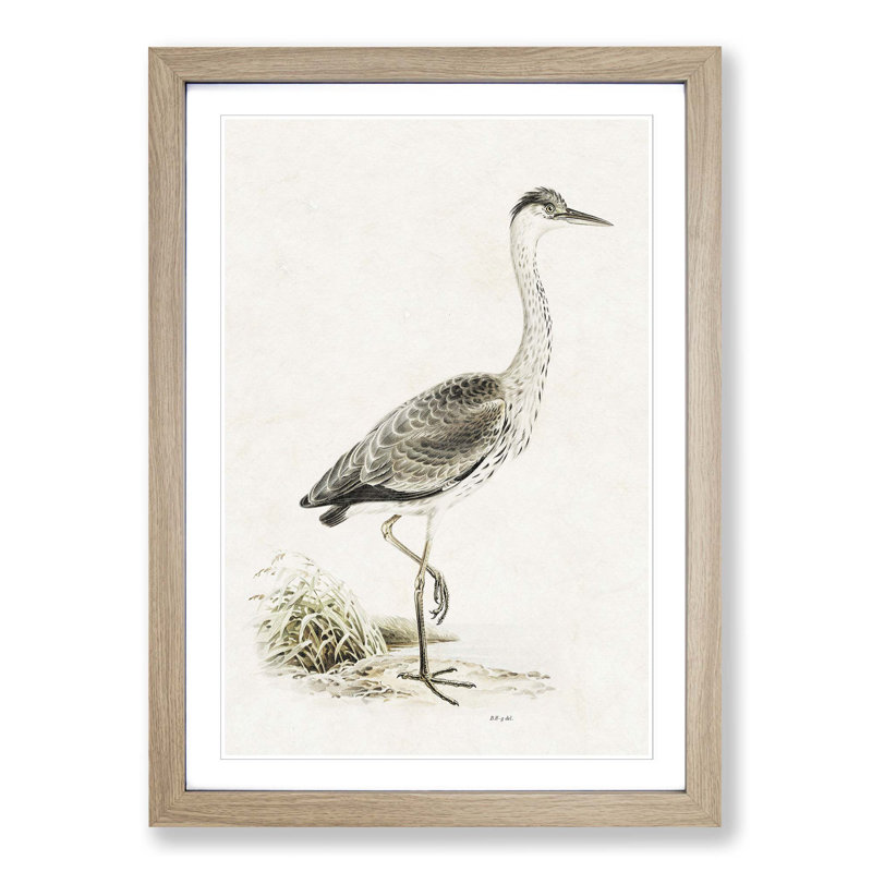 Grey Heron by Von Wright - Picture Frame Painting Print, 36cm H x 27cm W x 2cm D, Oak Framed