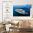 Cruise Ship-313165242