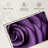 Harnek Dewy Violet Rose-107699433