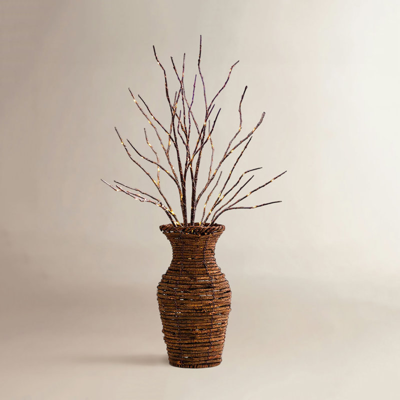 Bouleau 50 lumières avec arbres et branches
