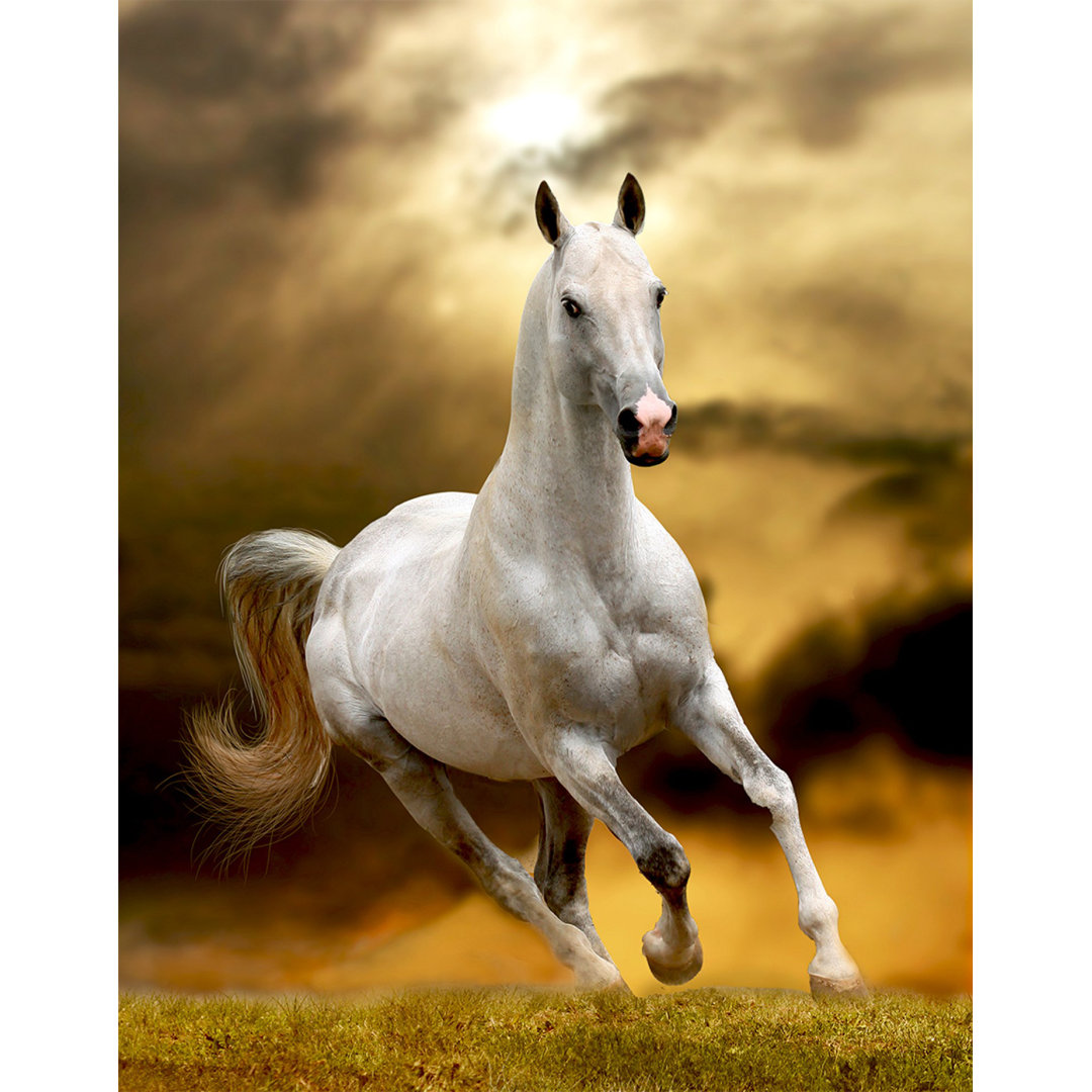 Wrapped Canvas Print Artful Printers 