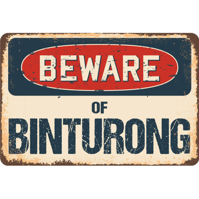 Ard Ardoise Binturong