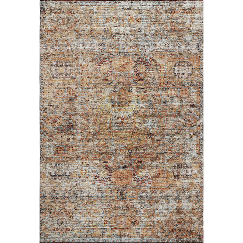 Premium Machine Washable Ducote AMF1143 Global Rug, Rectangle 8 pi x 10 pi