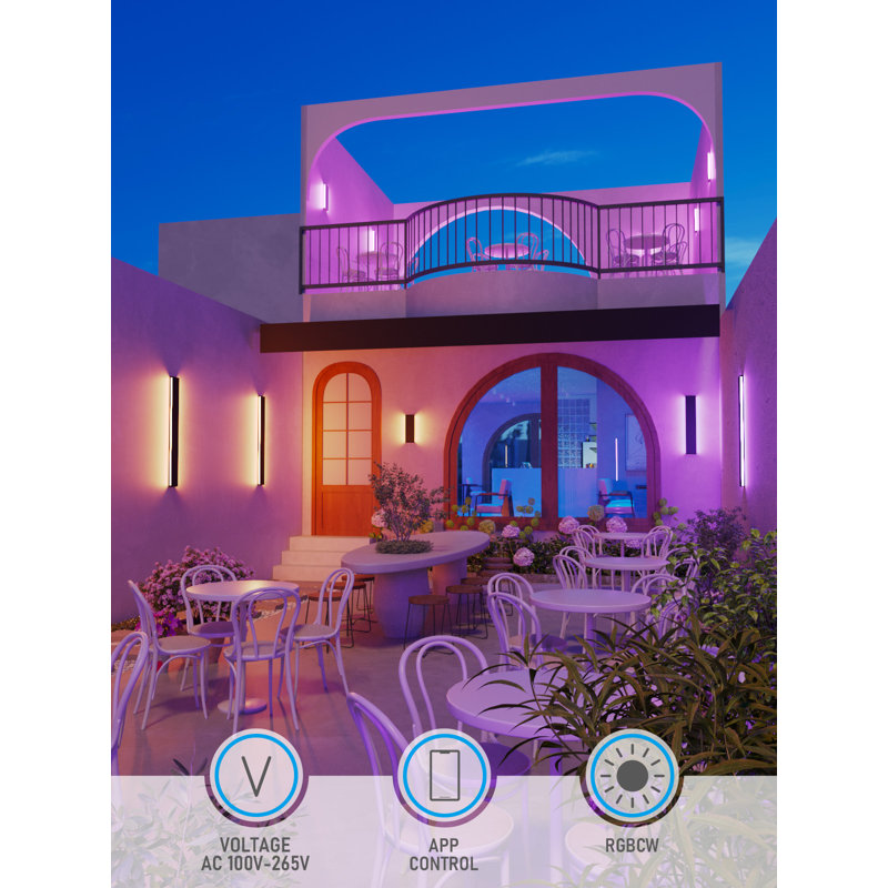 Michalik Smart LED Wall Lamp Indoor& Outdoor, RGBCW Colour Changing Porch Light, Black