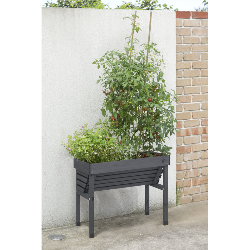 Wood Raised Garden Bed, Charcoal