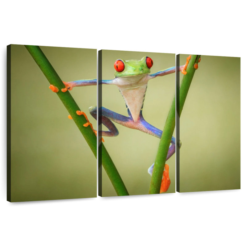 Brampt Frog Show Off, 32" H x 50" W