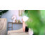 Buste en porcelaine Trefann-770529834