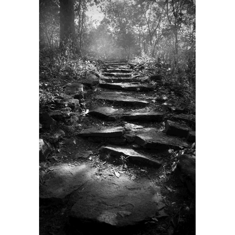 " Forest Path " Painting Print, 18" H x 12" W  