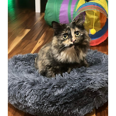 Cat Beds,Round Pet Bed Non-Slip,Plush Donut Cuddler Cushion Self Warming