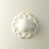 White/White Pearl selected