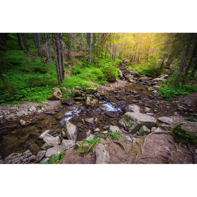Mountain River In The Wood - Photographie sur toile tendue, H 12 po x l 18 po