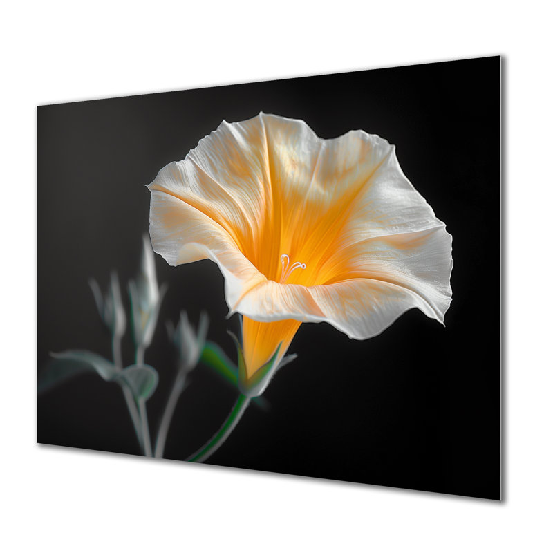 «White Yellow Whimsical Wonders Morning Glory - Morning Glory», reproduction d'art murale, Sans cadre, métal