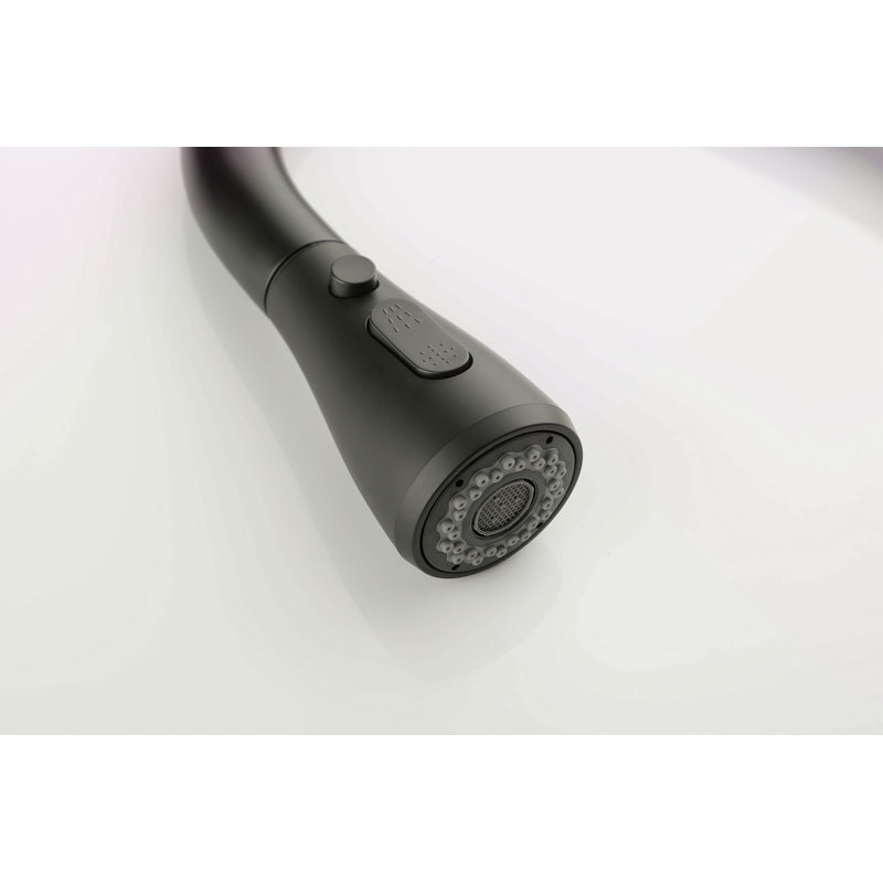 Kitchen Faucet With Pull Out Spraye, Matte Black