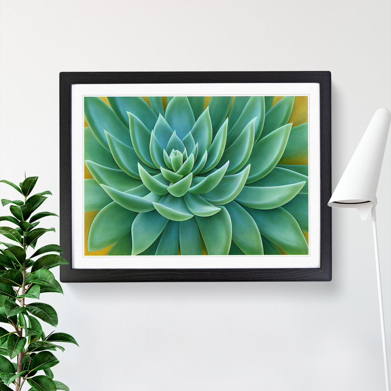 Soulful Succulent Plant - Framed Print, 25cm H x 34cm W x 2cm D, Black