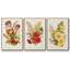 Ensemble de 3 pièces encadrées sur toile Antique Floral Bouquet IV-97759778-97759779