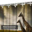 Rideau de douche avec 12 crochets-1169984761