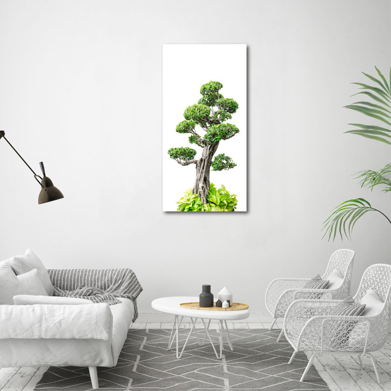 Bonsai Tree - Wrapped Canvas Print