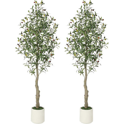 59.06cm Plant