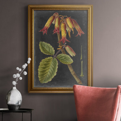 " Dramatic Tropicals III "