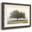 " Trees In The Fog II "-583375819-583375816