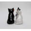 Sel et poivre d'Halloween pour chat